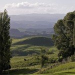Waikato